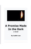 A Promise Made In The Dark