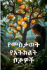 የመስታወት የአትክልት ቦታዎች