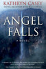 Angel Falls