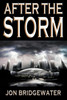 After the Storm: A David Storm Mystery