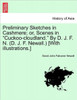 Preliminary Sketches in Cashmere; Or, Scenes in ""Cuckoo-Cloudland."" by D. J. F. N. (D. J. F. Newall.) [With Illustrations.]