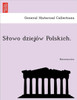 S Owo Dziejo W Polskich.