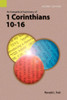 An Exegetical Summary of 1 Corinthians 10-16, 2nd Edition