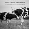Voices of the Herd: Portraits of Rescued Cows and Their Sanctuary Stories
