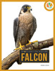 Falcon