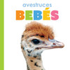 Avestruces Bebés