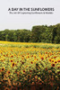 A Day in the Sunflowers