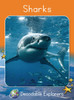 Sharks: Fluency Boost