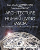 Architecture of Human Living Fascia: The Extracellular Matrix and Cells Revealed Through Endoscopy