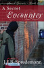 A Secret Encounter (Amish Secrets #2)