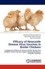 Efficacy of Newcastle Disease Virus Vaccines in Broiler Chickens