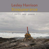 Disappearance : North Sea Poems