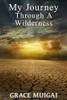 My Journey Through a Wilderness