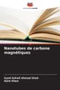 Nanotubes de carbone magnÃ©tiques