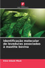 IdentificaÃ§Ã£o molecular de leveduras associadas Ã  mastite bovina