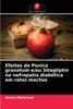 Efeitos do Punica granatum e/ou Sitagliptin na nefropatia diabética em ratos machos