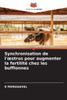 Synchronisation de l'oestrus pour augmenter la fertilité chez les bufflonnes
