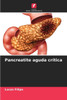 Pancreatite aguda crÃ­tica