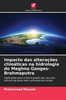 Impacto das alterações climáticas na hidrologia do Meghna Ganges-Brahmaputra