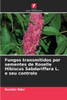 Fungos transmitidos por sementes de Roselle Hibiscus Sabdariffera L. e seu controlo