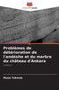 Problèmes de détérioration de l'andésite et du marbre du château d'Ankara