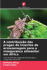 A contribuiÃ§Ã£o das pragas de insectos de armazenagem para a inseguranÃ§a alimentar em Ãfrica