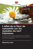 L'effet de la fleur de camomille sur les maladies du nerf trijumeau.