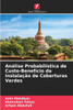 AnÃ¡lise ProbabilÃ­stica de Custo-BenefÃ­cio da InstalaÃ§Ã£o de Coberturas Verdes