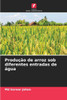 Produção de arroz sob diferentes entradas de água