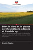 Effet in vitro et in planta de Chromolaena odorata et Candida sp
