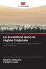 Le brouillard dans la région tropicale