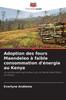 Adoption des fours Maendeleo Ã  faible consommation d'Ã©nergie au Kenya