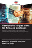 Gestion des risques dans les finances publiques