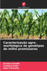 Caracterização agro-morfológica de genótipos de milho promissores