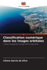 Classification numÃ©rique dans les images orbitales