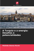 A Turquia e a energia: Desafios e potencialidades