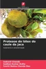 Protease do lÃ¡tex do caule da jaca
