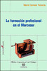 La formacion profesional en el Mercosur