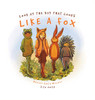 Look at the Boy That Looks Like a Fox