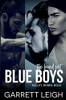 Blue Boy, The Boxed Set - 9781913220235