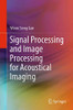 Signal Processing and Image Processing for Acoustical Imaging