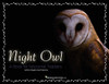 Night Owl: A Book for Nocturnal Toddlers