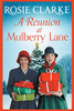 A Reunion at Mulberry Lane - 9781800484801