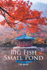Big Fish Small Pond