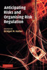 Anticipating Risks and Organising Risk Regulation