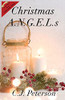 Christmas A.N.G.E.L.s : Bonus Story: Christmas Wish