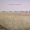 Paesaggi