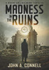 Madness in the Ruins : A Mason Collins Crime Thriller 1