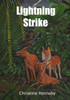 Lightning Strike