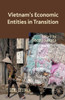 Vietnam's Economic Entities in Transition